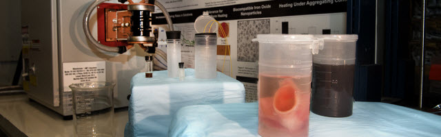 開創(chuàng)性技術(shù)成功地重新保護了在非常低的溫度下保存的大規(guī)模組織